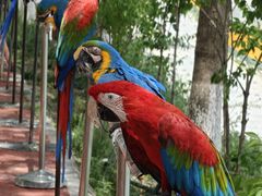 -水上乐园·欢乐世界