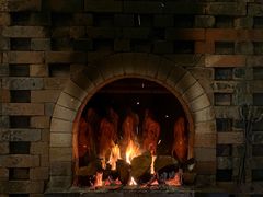 -君悦酒店·1881·北京烤鸭