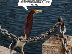 -石炮台公园