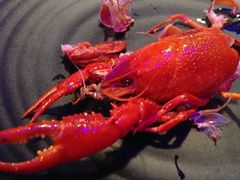 南极茶餐厅(南街店)-南极·小龙虾·湘式拌饭(南街店)