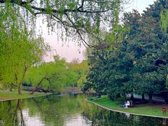 -上海共青森林公园