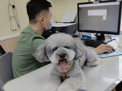 -瑞鹏宠物医院犬猫全科(真大分院)