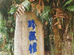 -云南勐巴娜西珍奇园