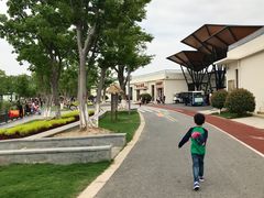 -上海长兴岛郊野公园