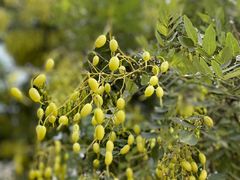 -南京市无想山景区