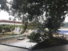 -白云湖畔酒店-湖畔餐厅