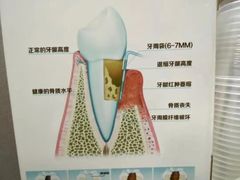 -深圳富茂格伦菲尔口腔门诊部(龙华清湖总院)