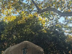 -杭州黄龙洞