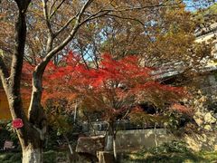 -狼山风景名胜区