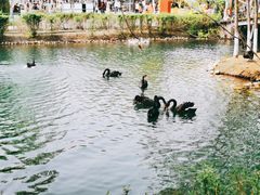 -长白岛森林公园