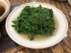 炒秧草-老季市·三代非遗传承·地标美食老汁鸡(工农路店)