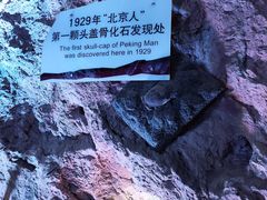 -周口店北京人遗址公园