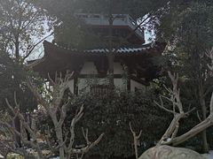 -武汉园博园(武汉自然博物馆)