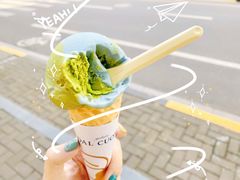 燕麦地球-Dal Cuore 达可芮冰淇淋(陕西北路店)
