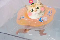 点击看大图 -马博士婴幼儿游泳馆(爱琴海购物公园店)