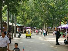 -廊坊市自然公园