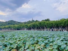 -浙江西湖美术馆