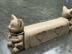 -黔灵山公园