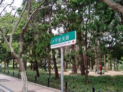 -八大关景区