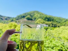 -阿巧茶庄
