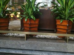 -天津君隆威斯汀酒店