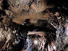 -中国湿地博物馆