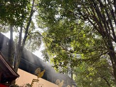 -土灶人家柴火鸡(都江堰店)