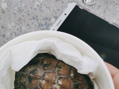 -爱侣宠医·鹦鹉专科·小型哺乳类·异宠专科(灵石路店)