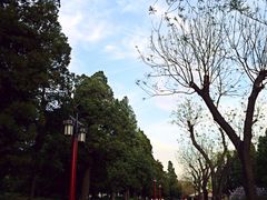 景山公园-景山公园