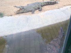 -泉州海丝野生动物世界