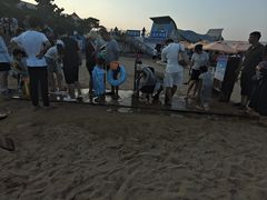 -日照海滨国家森林公园
