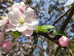 -元大都城垣遗址公园