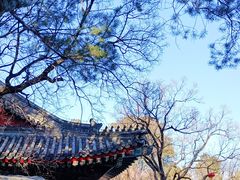 -香山公园