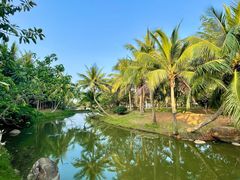 -白沙门生态公园