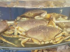 -渔中舟海鲜大排档(普陀沈家门店)