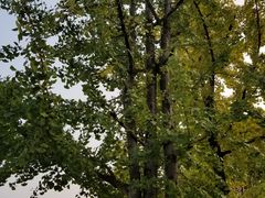 -食膳公园包子铺(烈士公园店)