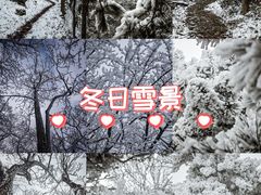 -安吉龙王山风景区