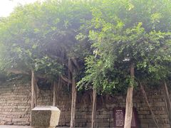 -东山风动石景区