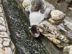 -天毓山庄·餐厅