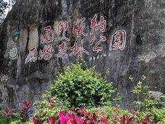 -西双版纳原始森林公园