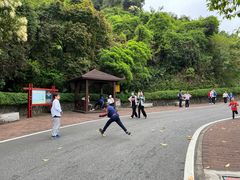 -火炉山森林公园