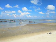-北海金海湾红树林生态旅游区