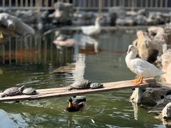 -龙华寺