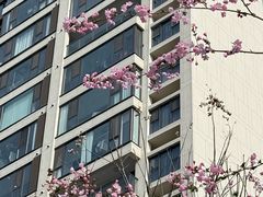 -映月湖中央公园