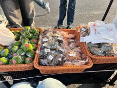 -荷兰街