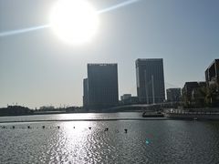 -映月湖中央公园