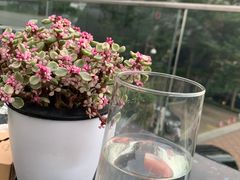 -卡普里披萨·牛扒·下午茶