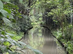 -同里国家湿地公园