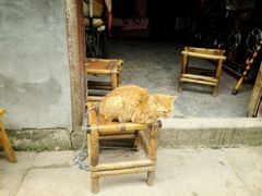 -福宝古镇