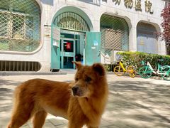 -北京赛佳动物医院